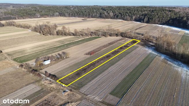 Działka 3600m² Nawodzice-0