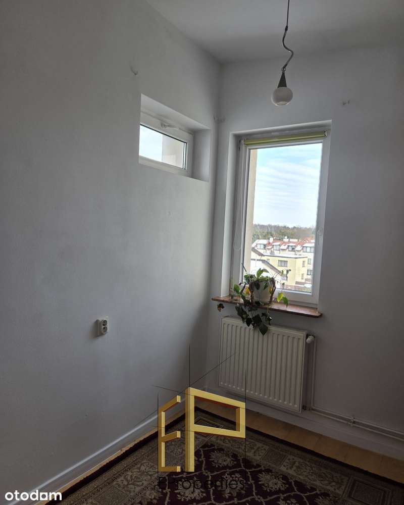 Kawalerka ★ 2 Pokoje ★ Piwnica-3