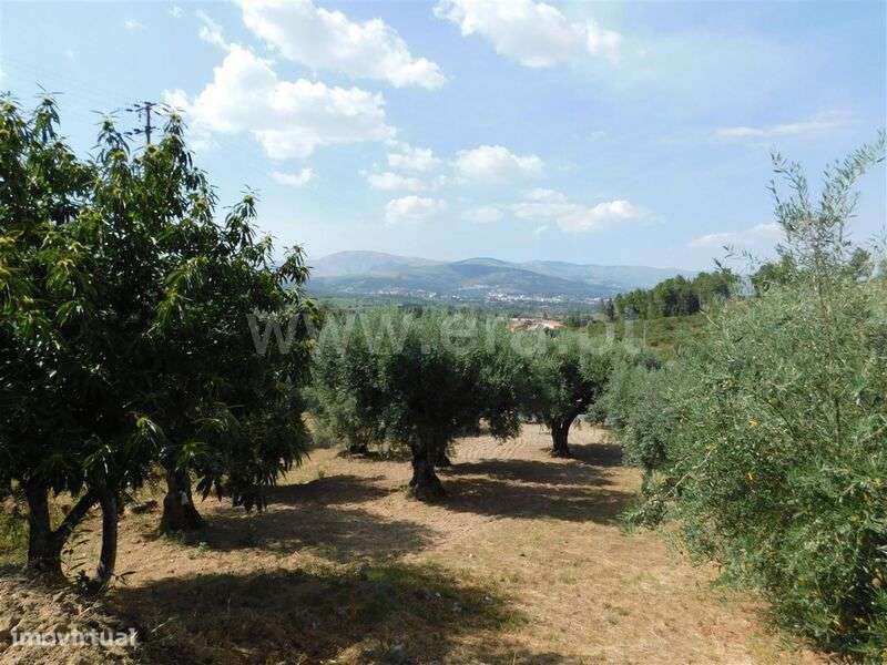 Terreno / Fundão, Alcaria - Grande imagem: 4/5