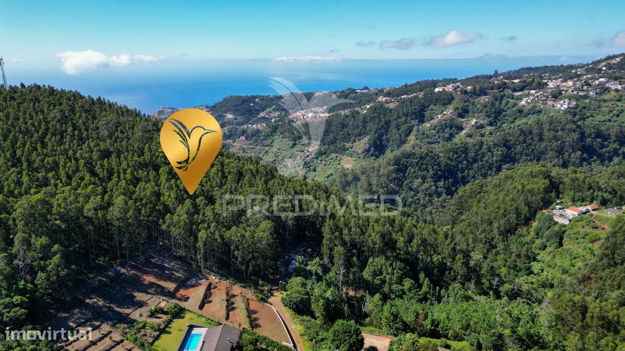 Terreno Rústico 3.355m2 Boqueirao- Gaula - Grande imagem: 3/12