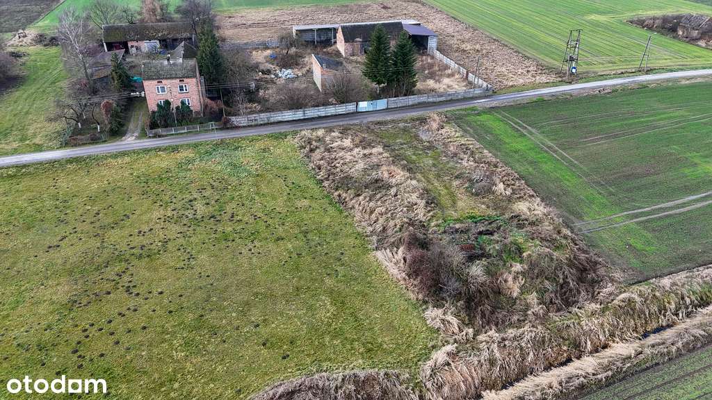 Ożarów, gm. Mokrsko | Działki na sprzedaż-4