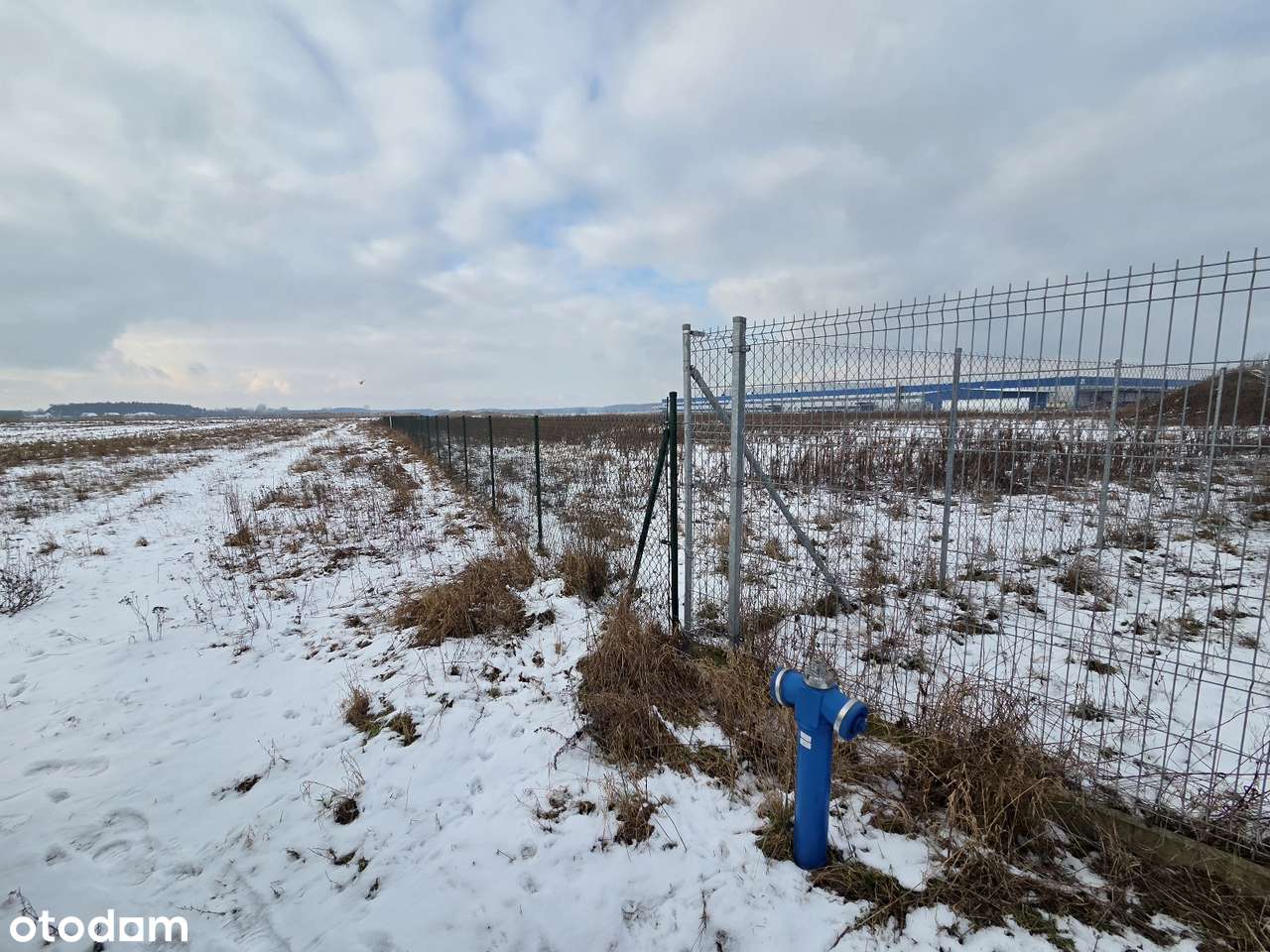 GRUNT INWESTYCYJNY na strefie przemysłowej - Kłoda, ul. Produkcyjna-6