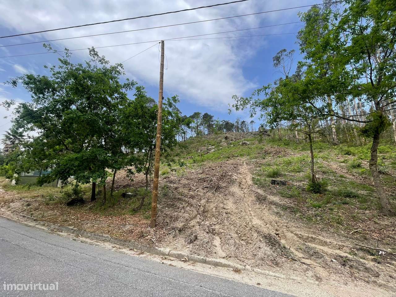 Terreno com 2,64 hectares em Cepães-3