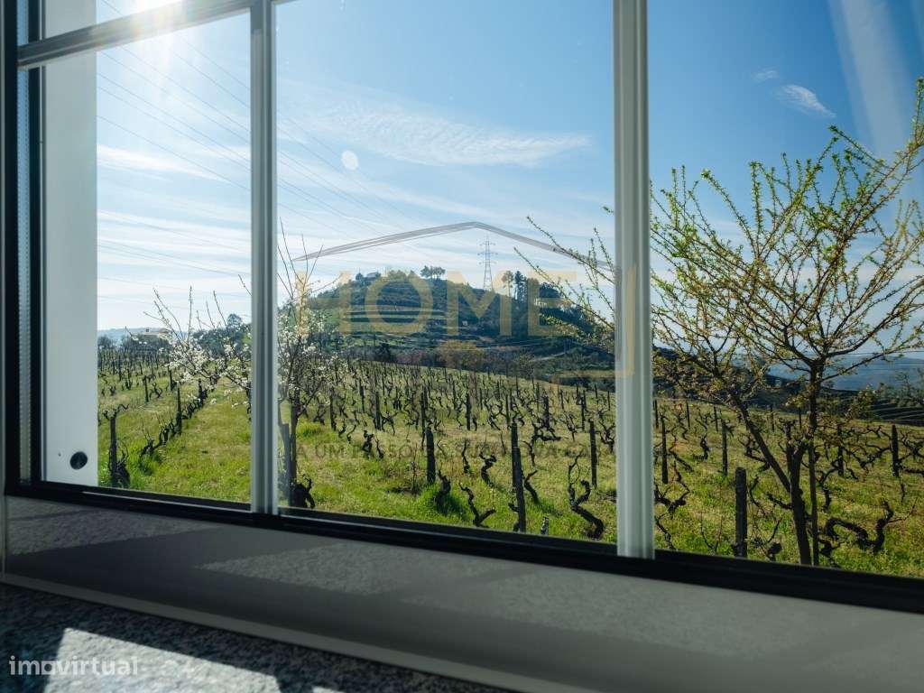 Quinta T4 com Vinhas e Oliveiras, em Santa Marta de Penaguião - Douro-19