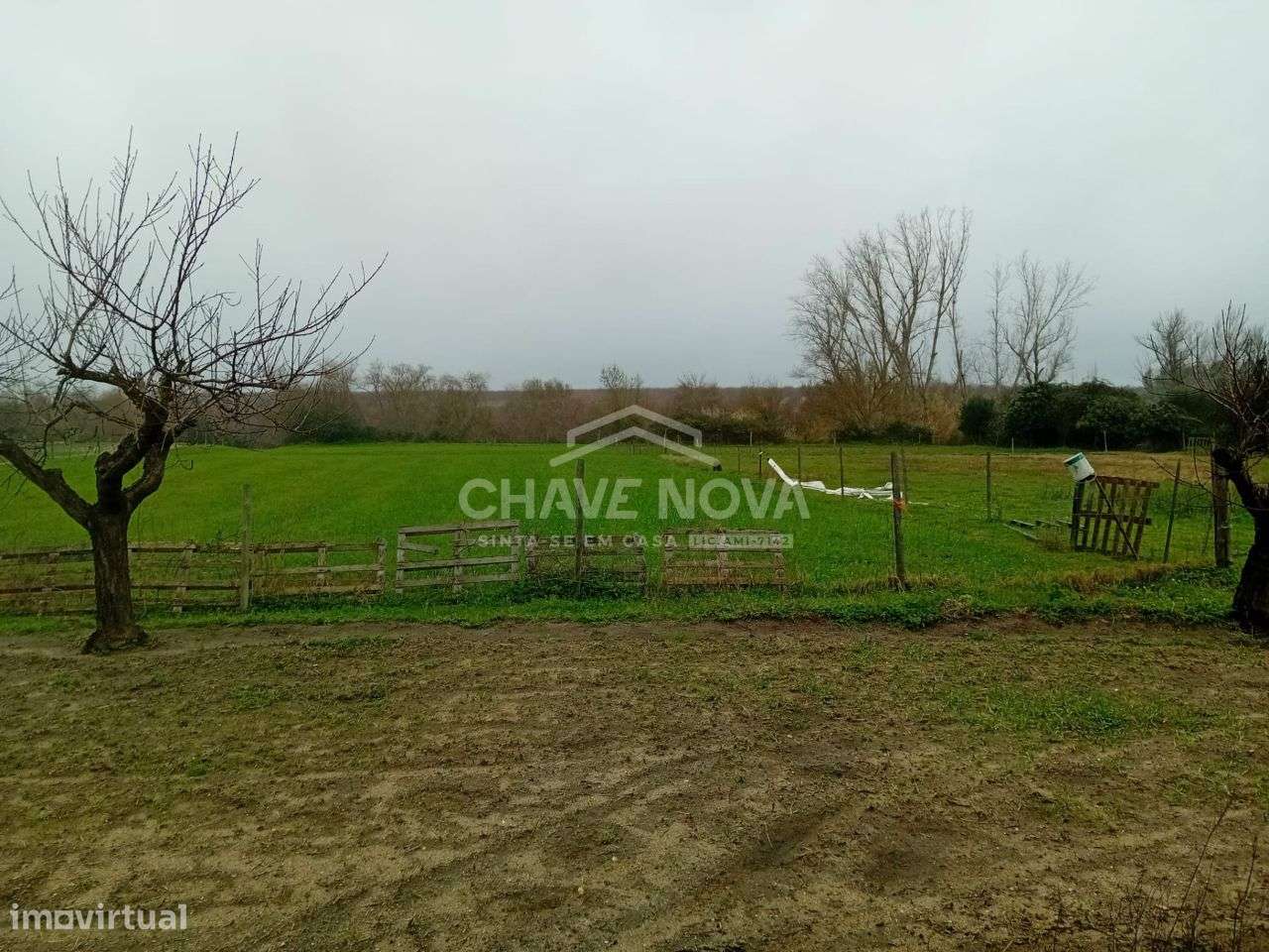 Uma verdadeira oportunidade, uma casa com 1,5 hectares de terreno.-13