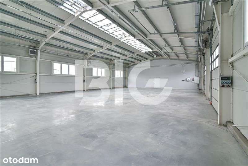 Nowa hala magazynowo-produkcyjna - Pełny obrazek: 4/11