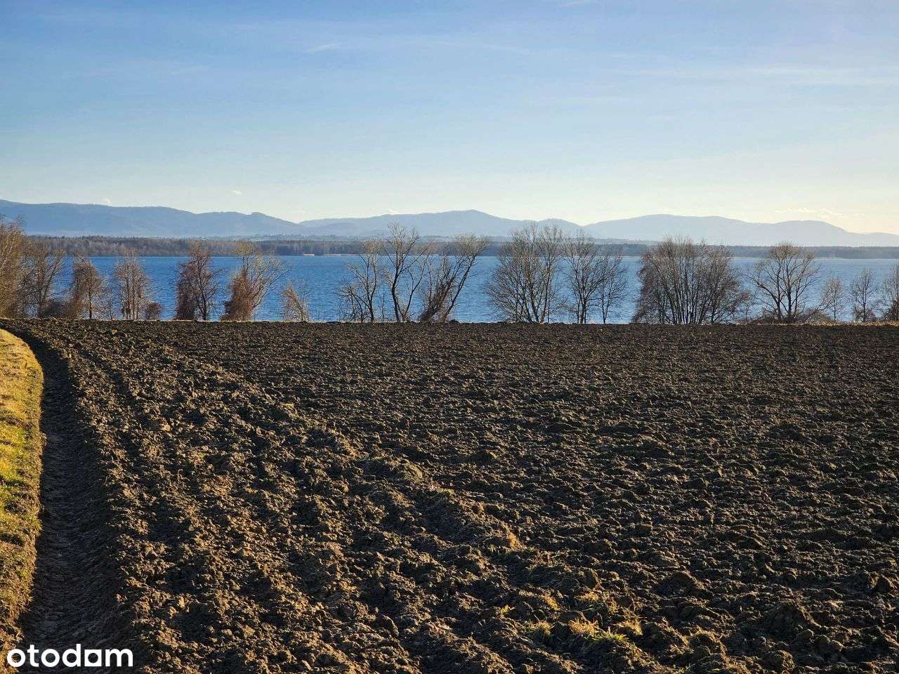 Widokowa działka rolna nad Jeziorem Goczałkowickim - Pełny obrazek: 5/8
