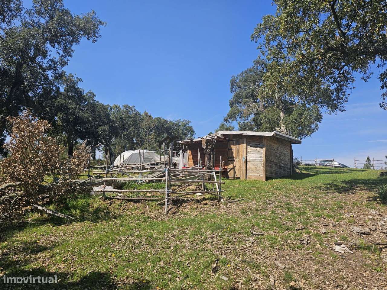 Quinta muito perto de Castelo Branco com 11.200 m2 - Grande imagem: 5/24