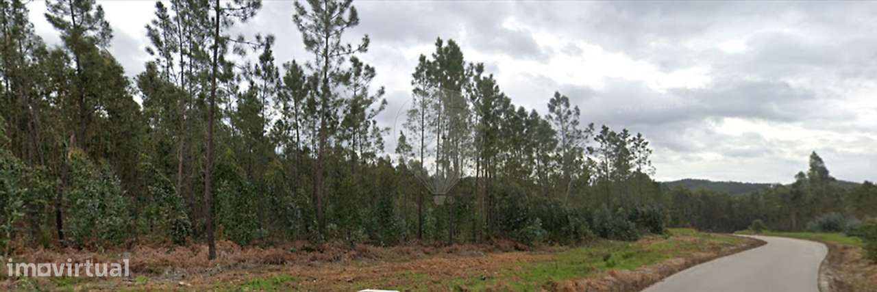 Terreno  para arrendamento - Grande imagem: 2/4