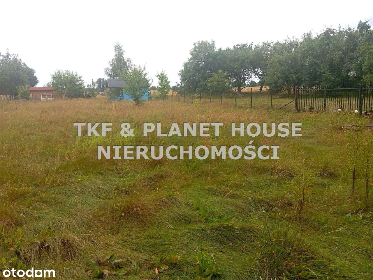 Działka 1500 m2 Studzianki gm.Wolbórz - Pełny obrazek: 4/6