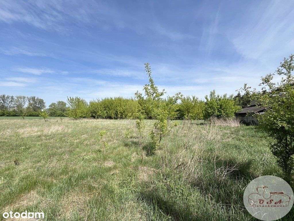 Działki w Głuchowie *las i droga S5* - Pełny obrazek: 4/10