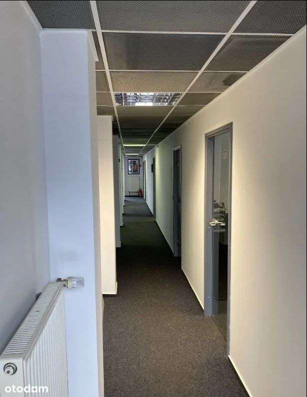 Biuro, lokale użytkowy, Koszalin, 43m2 - Pełny obrazek: 3/4