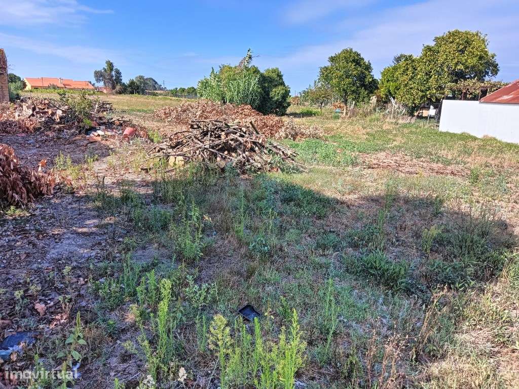 Terreno para Construção - Moradias- Eixo / Aveiro - Grande imagem: 4/15
