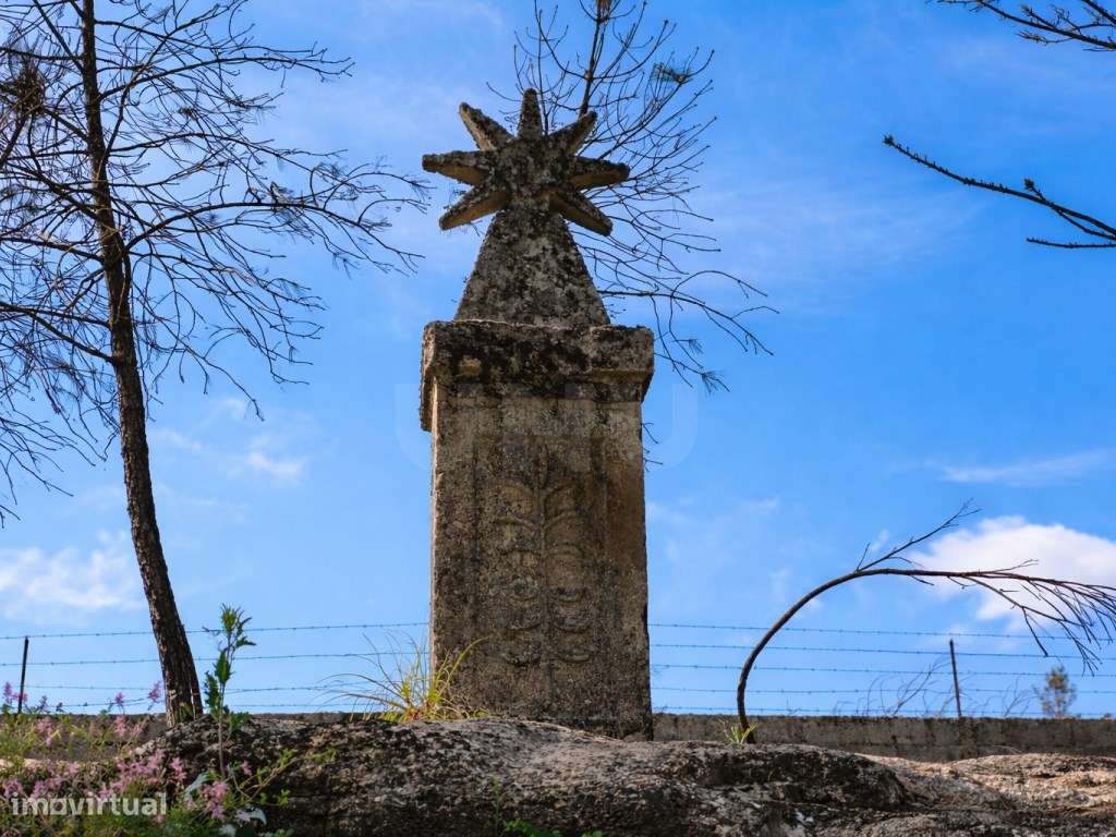 ATIVO TURÍSTICO + QUINTA DE EXCEÇÃO NA BEIRA ALTA-15