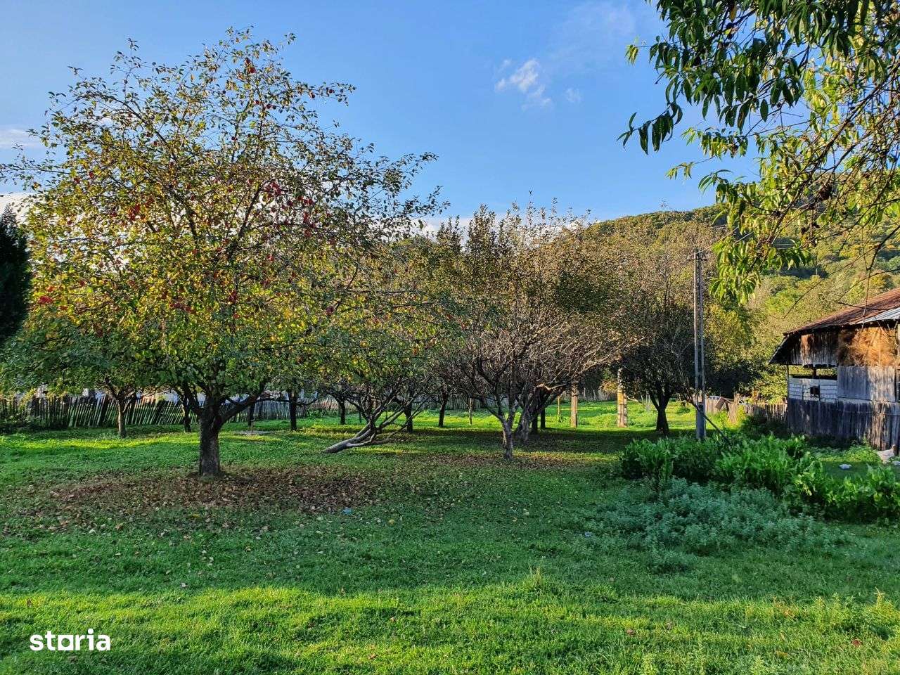 Puciosa Moreni Valea Lunga Sat Izvoru 20000mp teren de vanzare-10