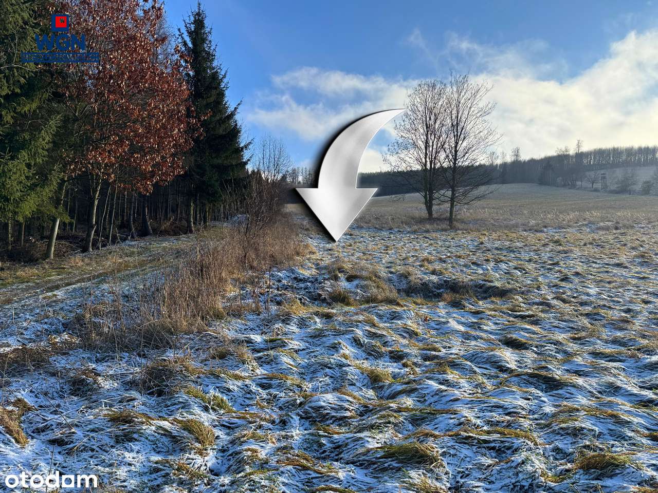 Działka budowlana z pięknymi widokami pod lasem.-12
