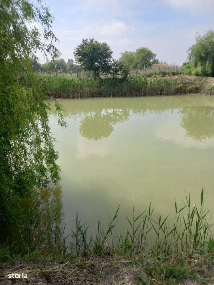 Casa baraneasca + 9300mp teren (livada) zona sat Ziduri jud. Buzau-14