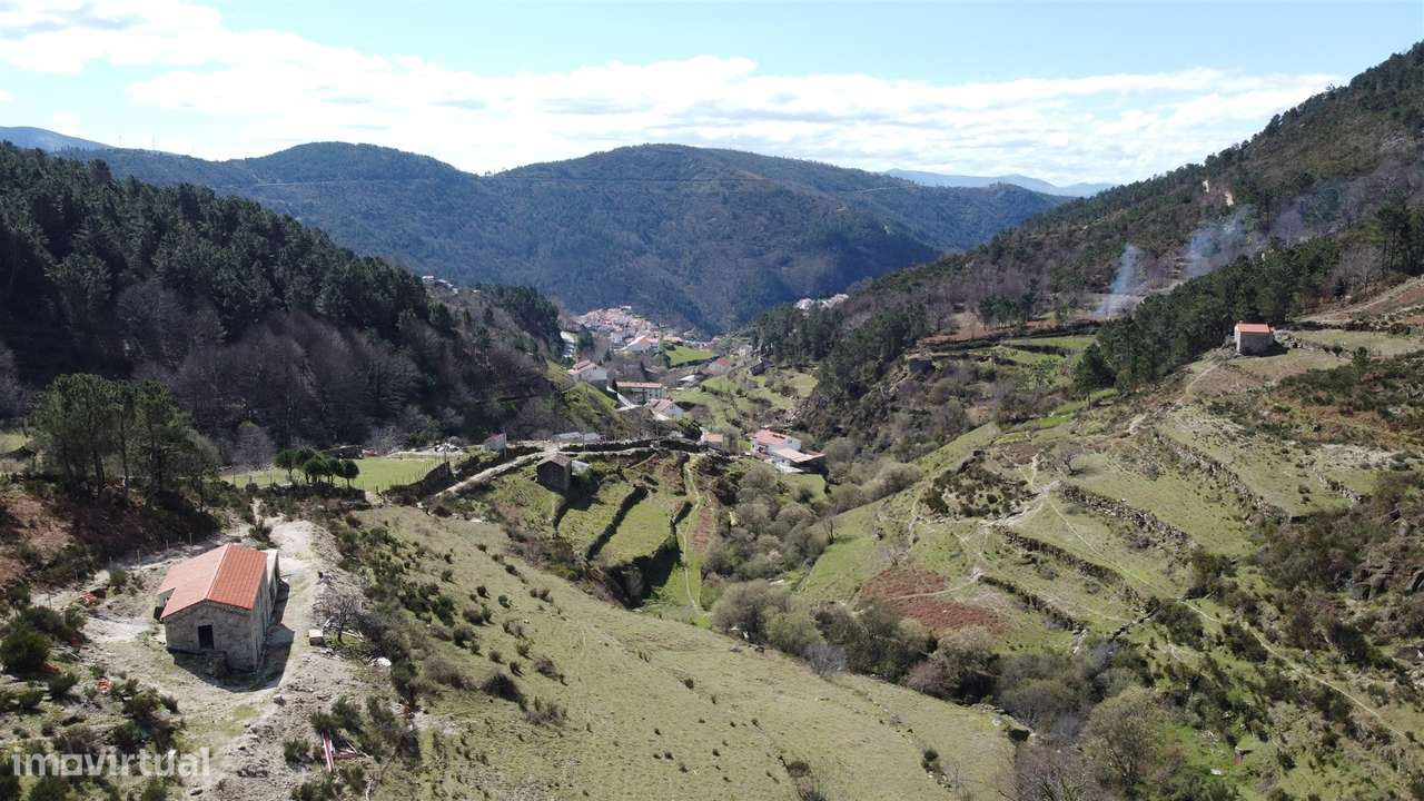 Quinta T0 Venda em Loriga,Seia-5