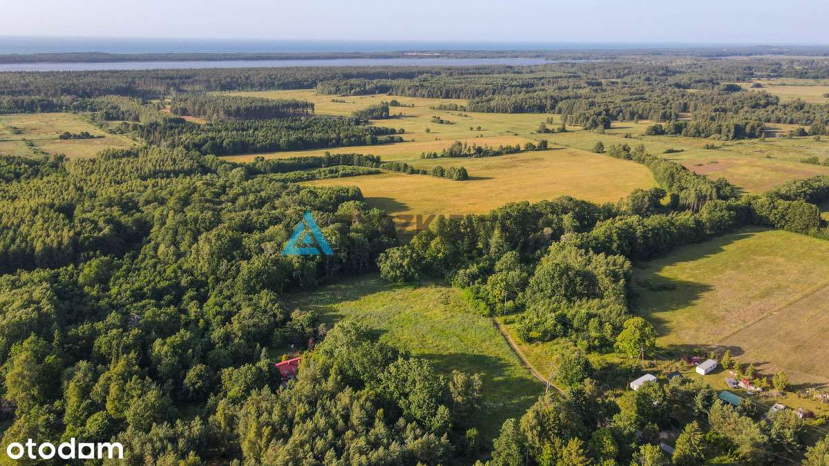 Nieruchomość z 2 stron otoczona lasem - Pełny obrazek: 4/20