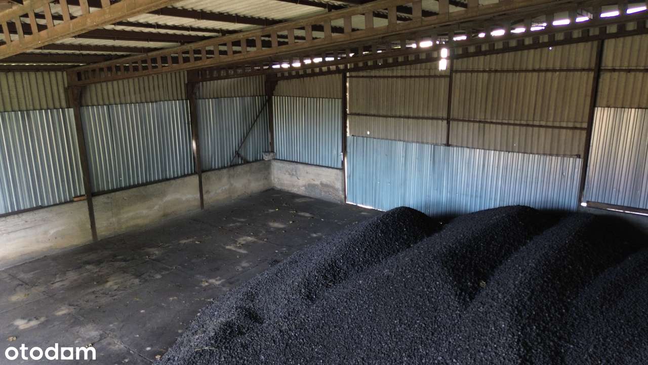 Bieskowo/hala300m2/plac1500m2 - Pełny obrazek: 4/8