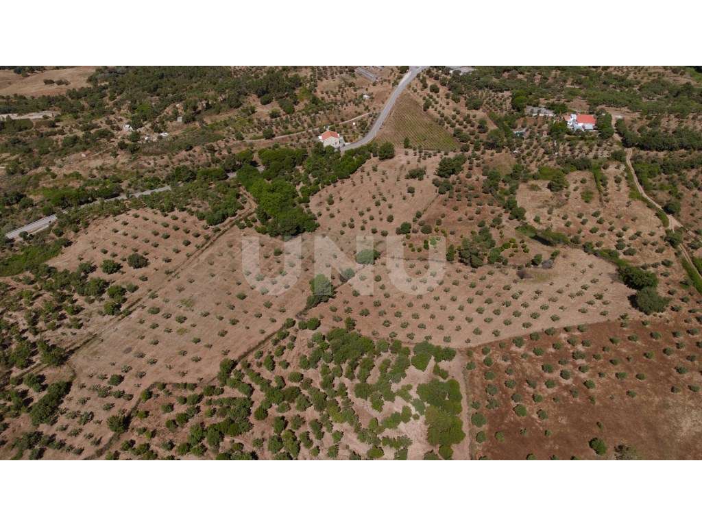 Herdade com 34 Hectares-32