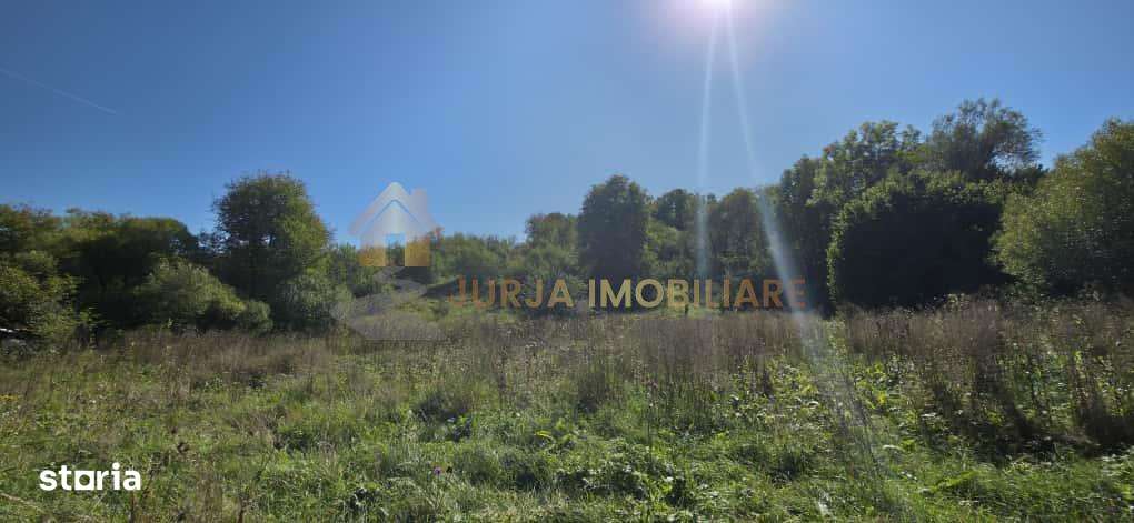 TEREN INTRAVILAN 11000 MP - Imagine principală: 4/9