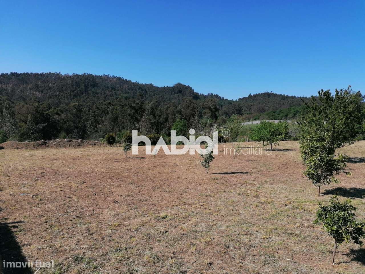 Terreno destinado a construção... Novo preço - Grande imagem: 2/6