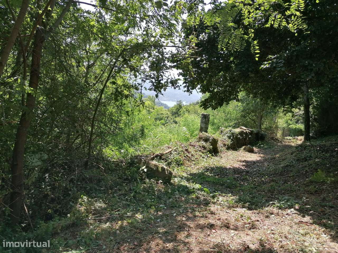 Quinta  Venda em Penhalonga e Paços de Gaiolo,Marco de Canaveses-18
