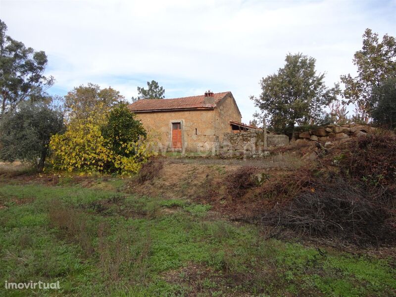 Quintinha / Covilhã, Ferro