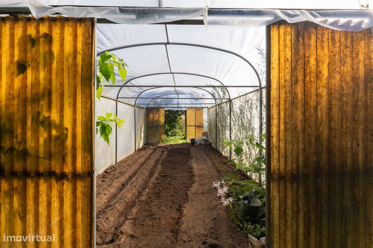 Moradia Isolada T2 Venda em Lobão, Gião, Louredo e Guisande,Santa Mari-36