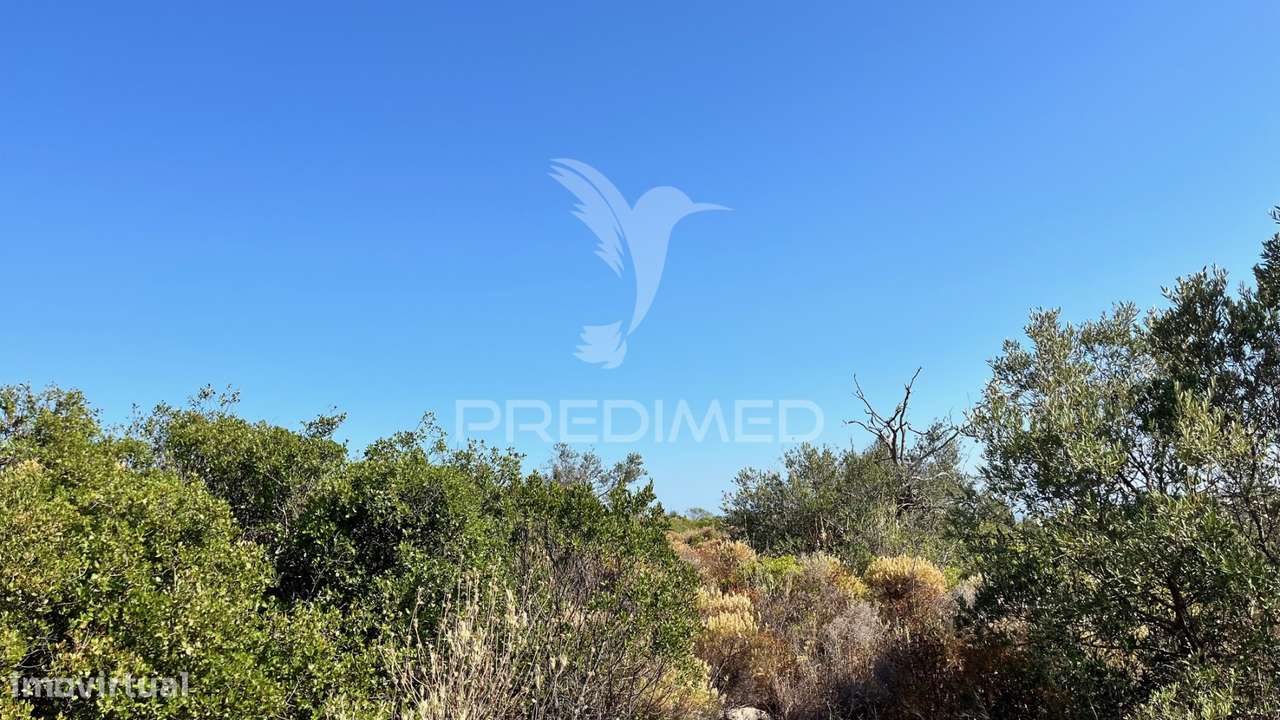 Terreno Rústico com 2520m² no Coração de Moncarapacho, Olhão, Algarve. - Grande imagem: 4/6