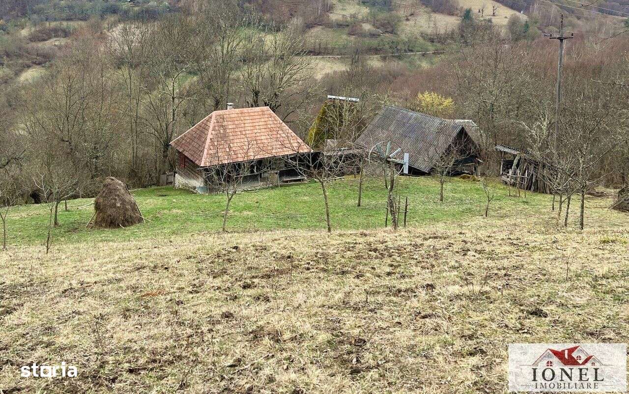 Casa cu 17.596 mp teren de vanzare in Muntii Apuseni - Imagine principală: 3/18