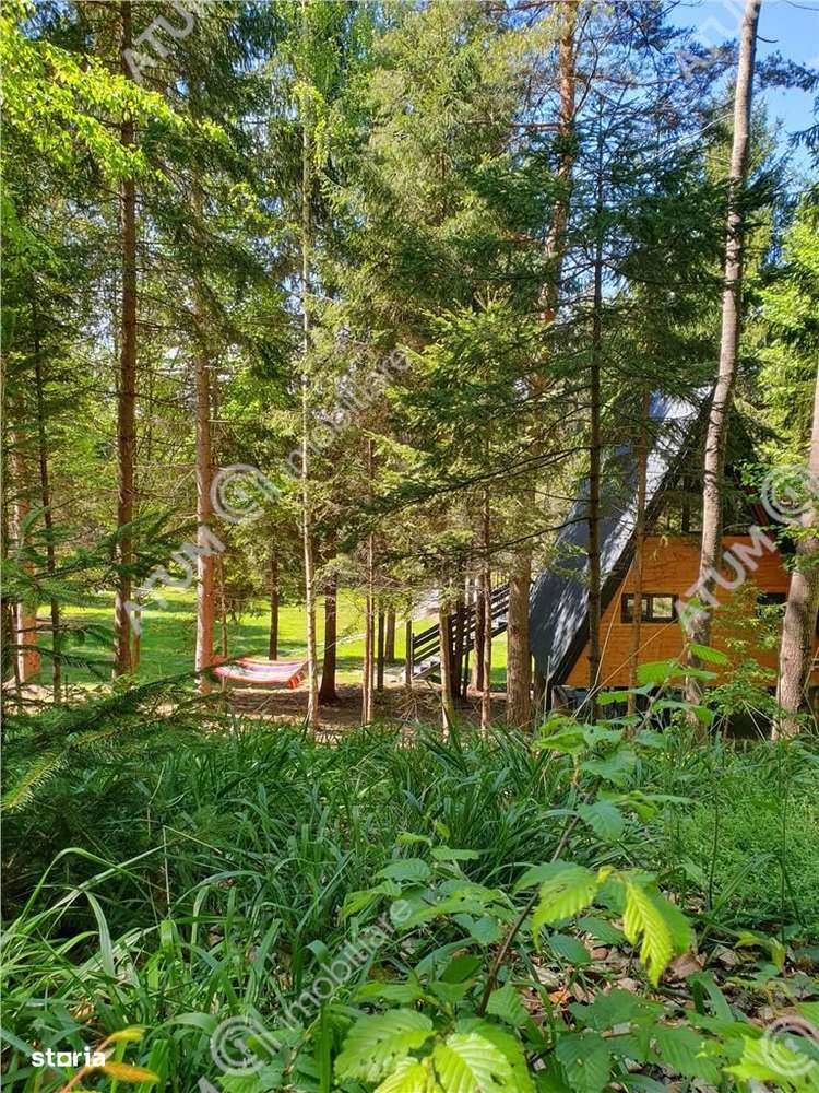 Casa tip A  Frame de inchiriat in Avrig zona Valea Avrigului,Porumbacu - Imagine principală: 5/16