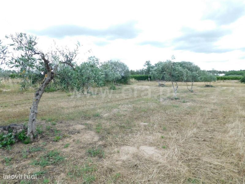 Terreno / Fundão, Alpedrinha