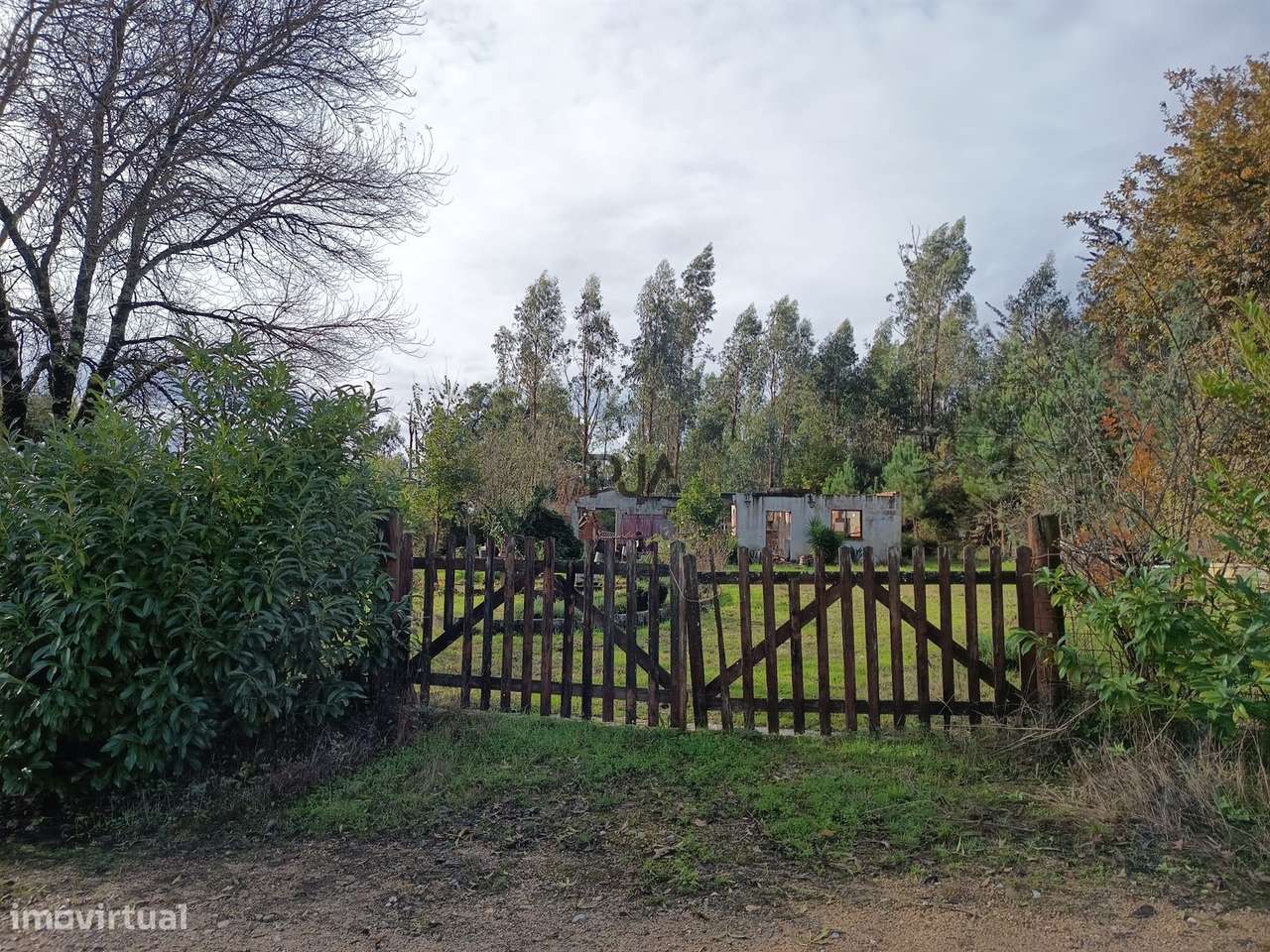 Terreno Rústico em Treixedo, Santa Comba Dão - Grande imagem: 4/7