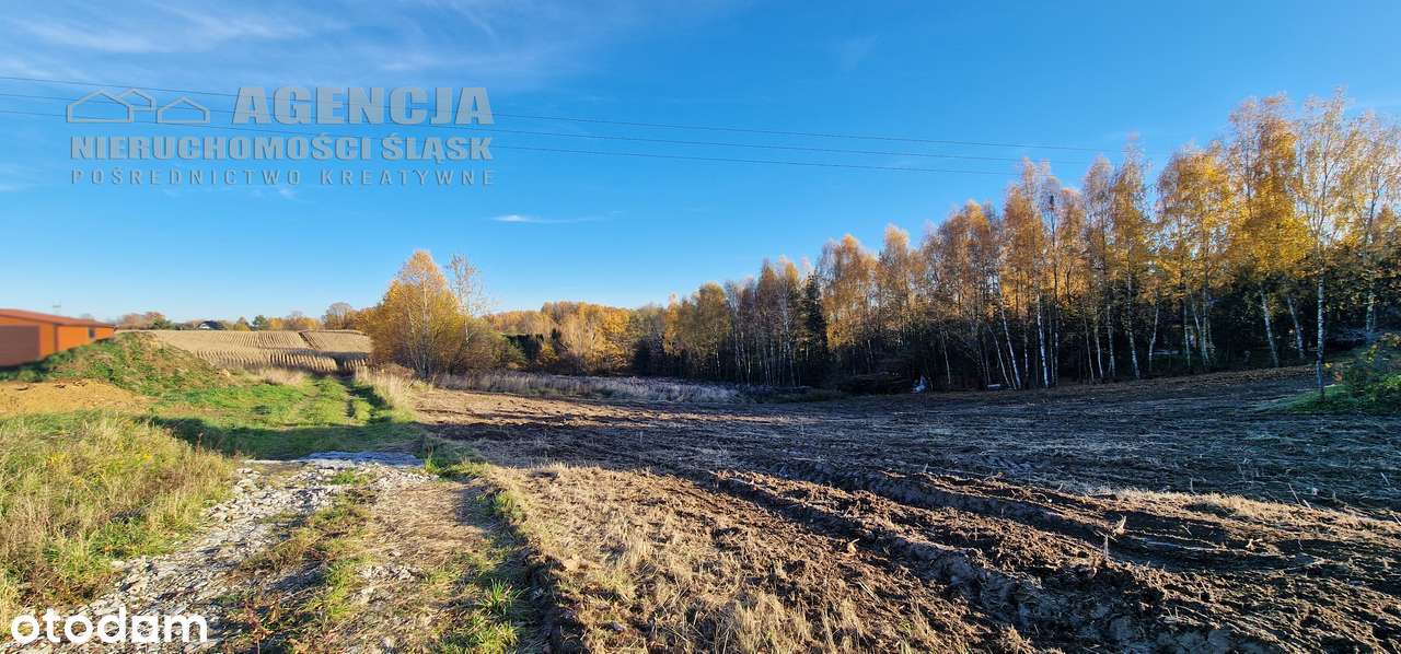 5 działek budowlanych, RUPTAWA, bez pcc-10