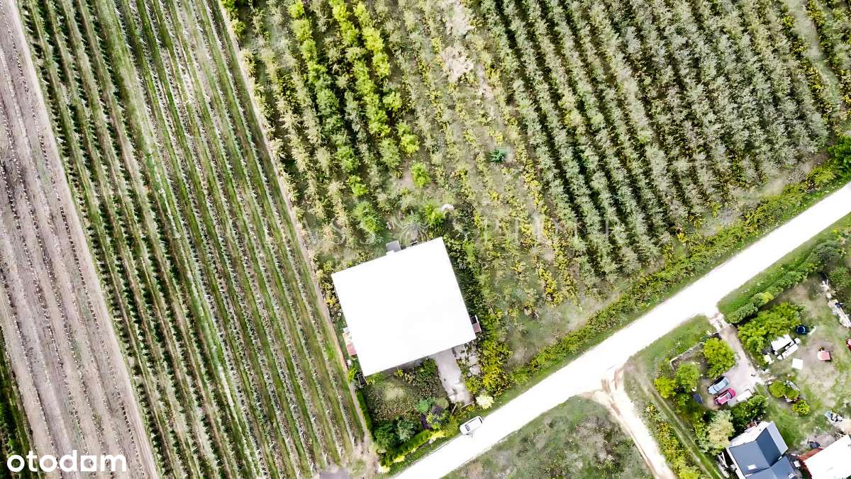 ⚡Chłodnia⚡Gospodarstwo rolne⚡Sad jabłoniowy⚡ - Pełny obrazek: 2/15