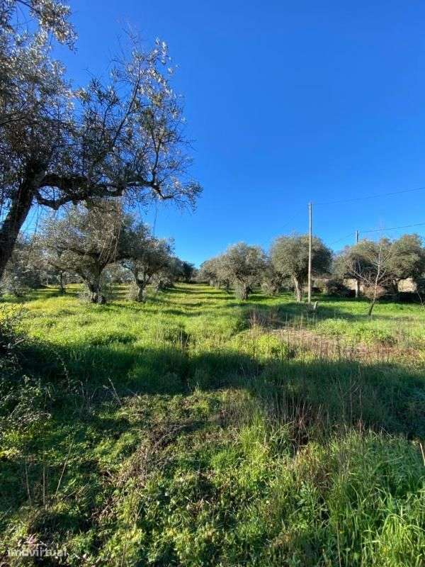 Terreno - Grande imagem: 5/6