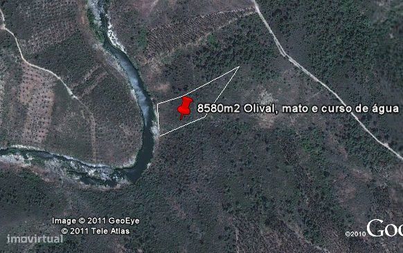 Conjunto 4 terrenos em Castelo Branco: 2 Retaxo + 2 Sarnadas de Rodao-5
