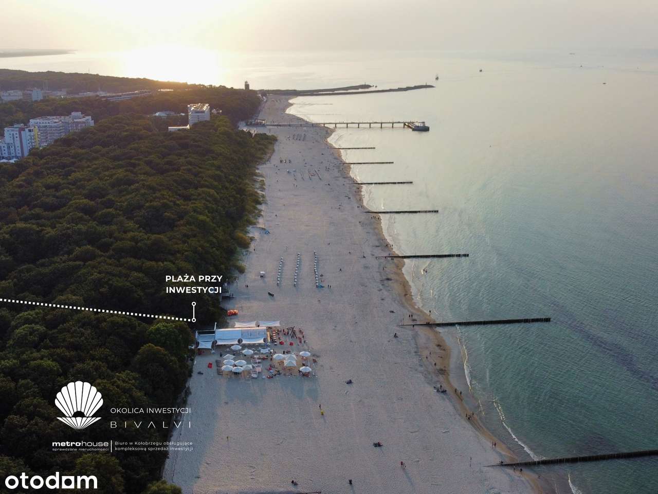 Bivalvi  | apartament 3-pok. | 55,19 m² | 202 - Pełny obrazek: 2/9