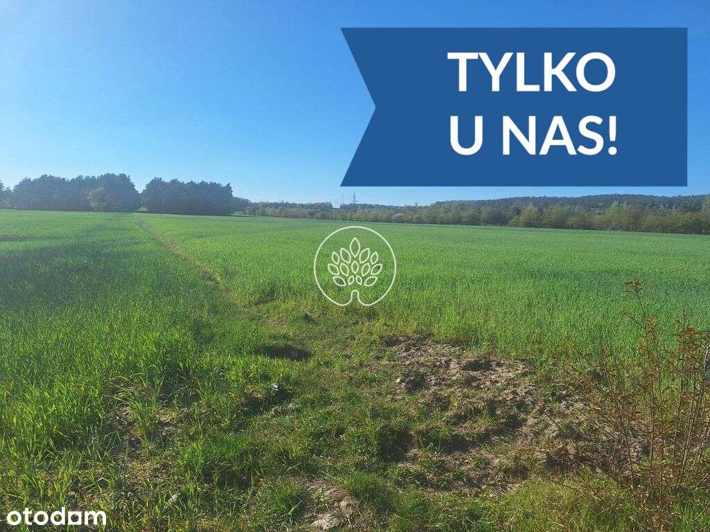 Blisko Zalewu Zegrzyńskiego | Działka budowlana