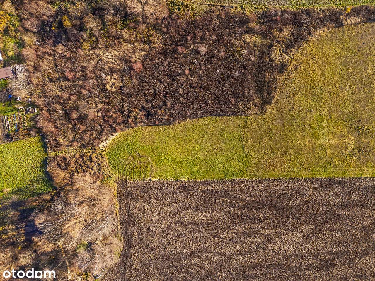 Działka Budowlano-Rolna z możliwością przekształcenia!!!!-11