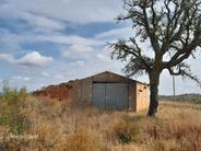 Herdade em Santana da Serra de 14 Hectares com casa de 100m2 para recu - Miniatura: 21/44