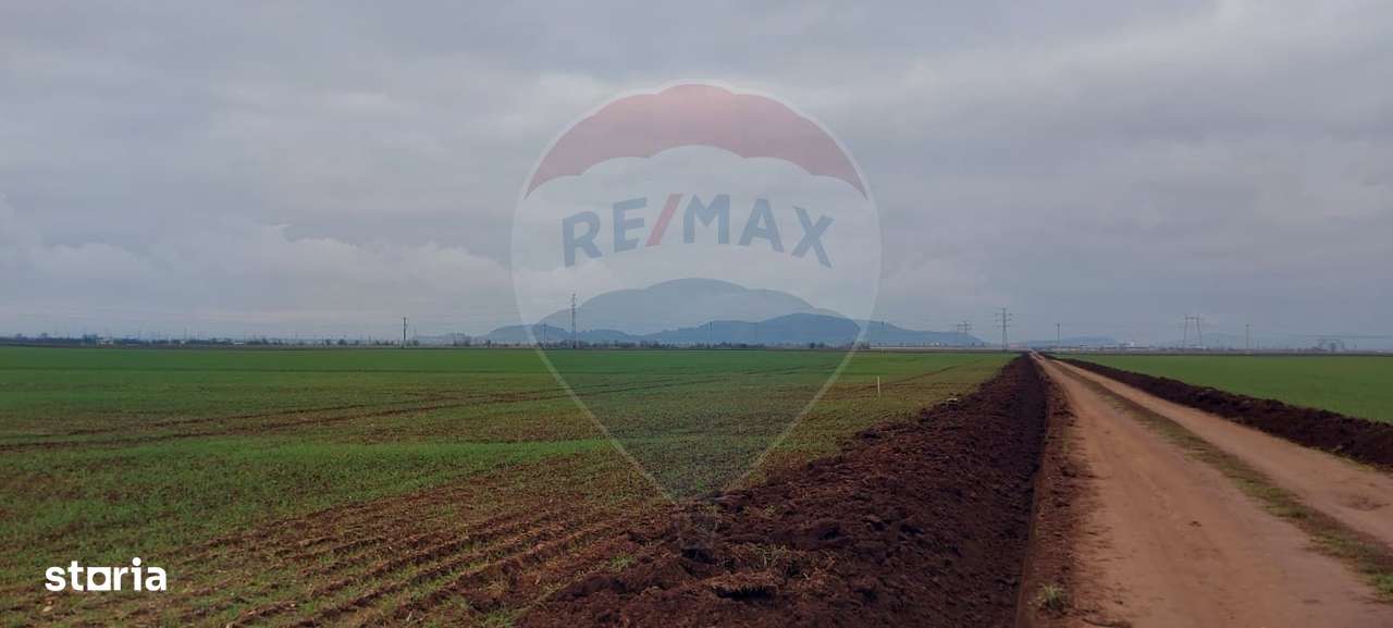 Comision 0 %! Teren extravilan, 21,175 mp Hărman - Imagine principală: 5/6