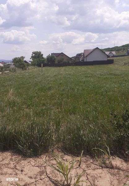 Vand teren casa Margineni - Imagine principală: 4/6