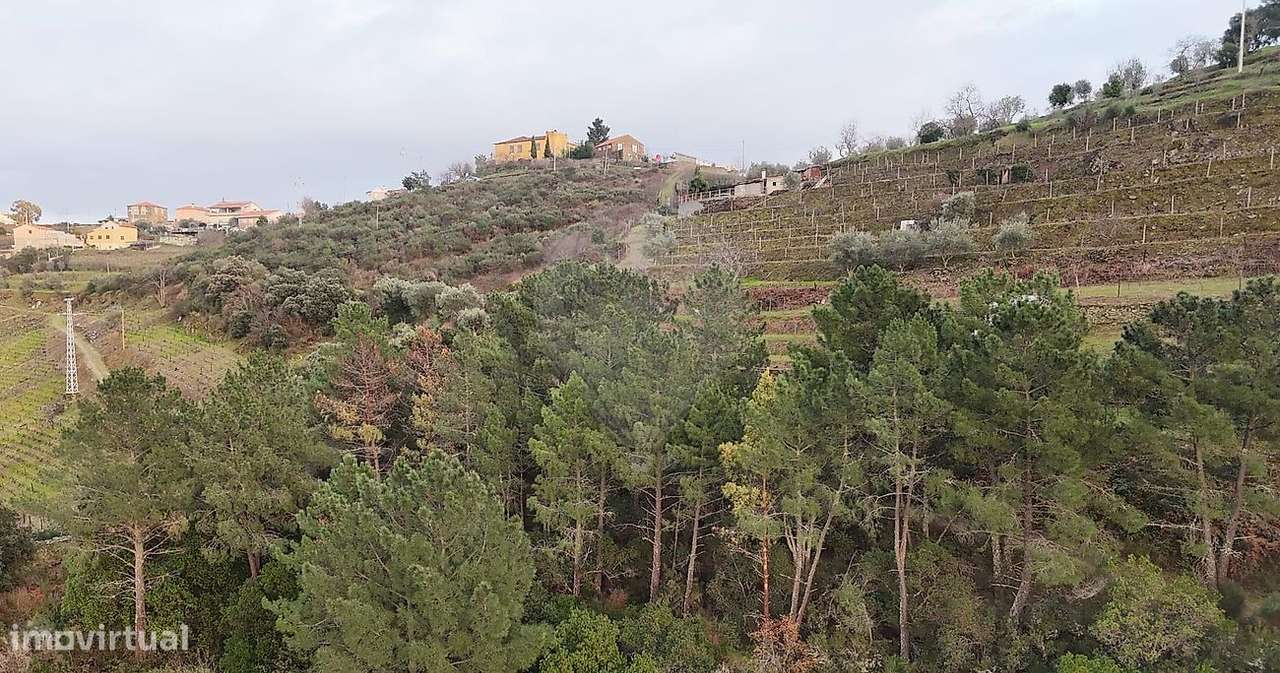 Terreno  para venda - Grande imagem: 2/4