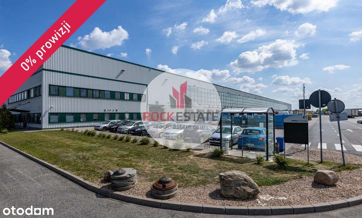 Magazyn do wynajęcia 3000 m2 Wrocław - Pełny obrazek: 4/6