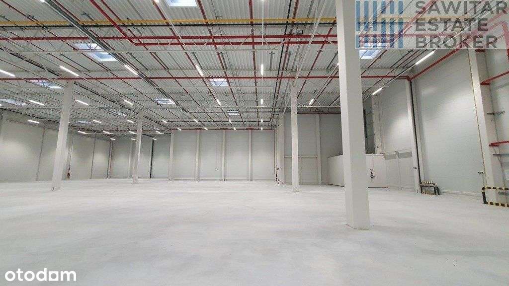 Wrocław wsch.obwodnica-różne moduły-bez prowizji - Pełny obrazek: 5/5