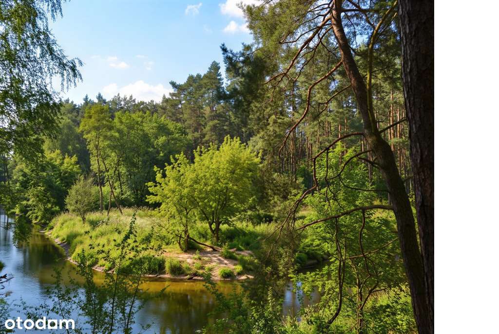 Budowlane przy lesie i rzece Grabia. Twoja sprawdzona inwestycja RATY-7