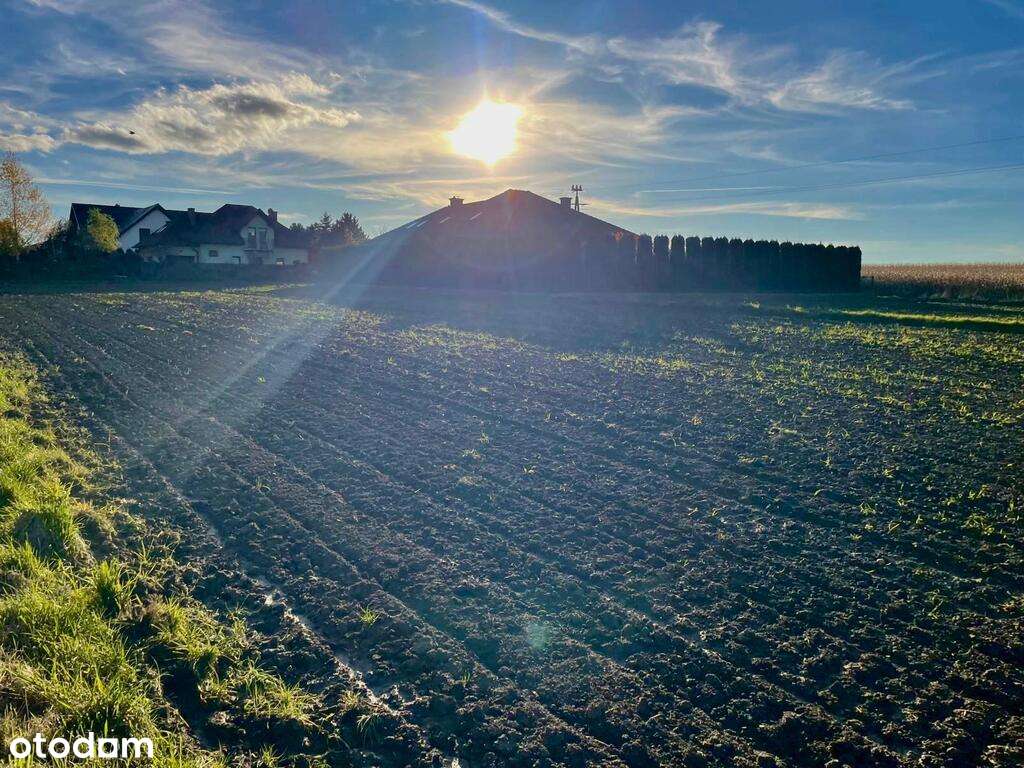 Przestronna,  26 arowa  działka budowlana w Osieku-9